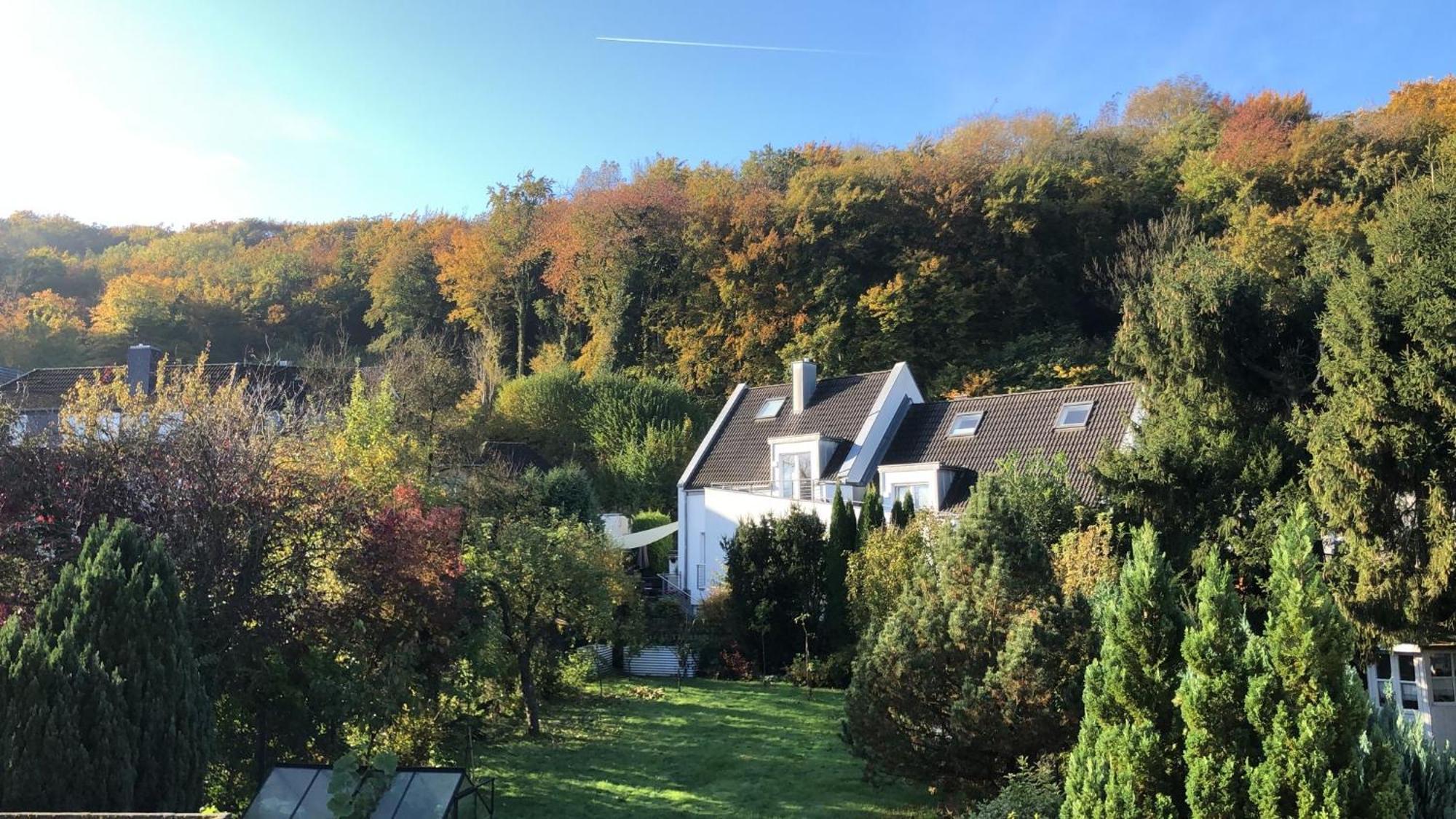 Ferienwohnung Am Schoelerberg 오스나브루크 외부 사진
